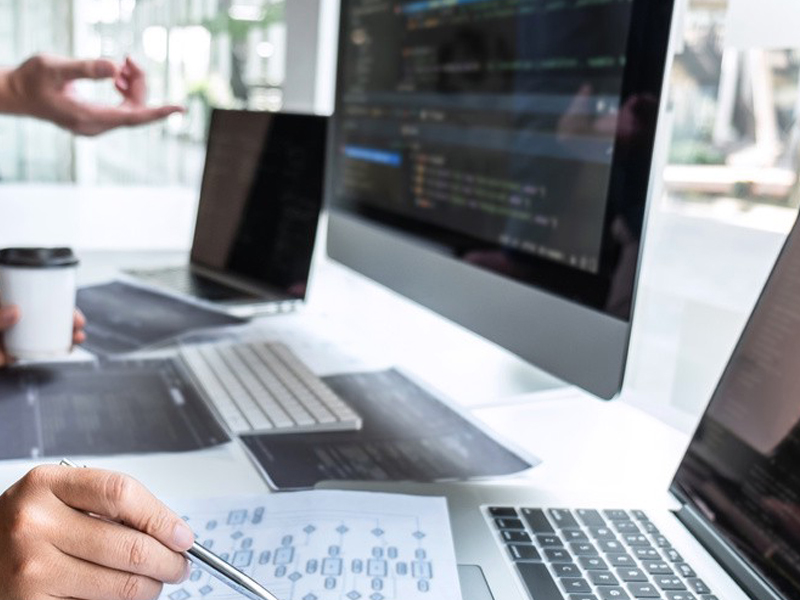 關(guān)于白蟻行為學(xué)的研究